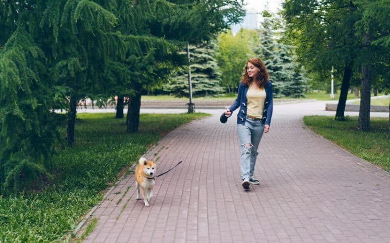 A young woman walking a dog on a street_Ways to Get Cash