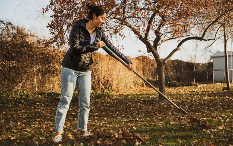 Woman wearing Jacket raking the leaves