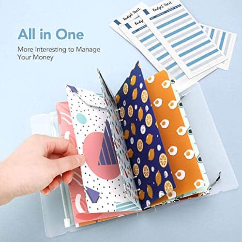 Cash Envelope System, Hommie All-in-One Cash Envelop Wallet with 12 Waterproof Money Budget Envelopes, 24 Blank Labels, 24 Rainbow Labels, and 1 Binder Note