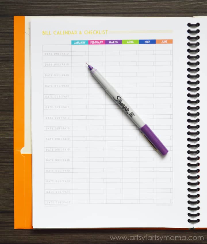 Vertical budget planner pages