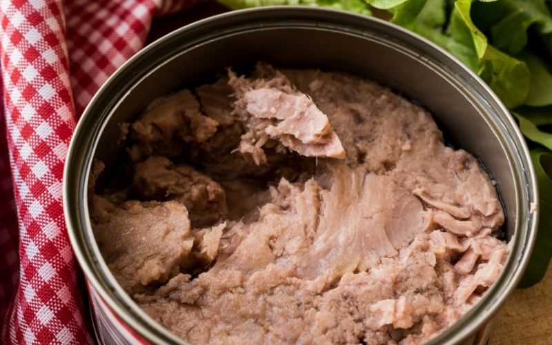 Photo of a canned tuna